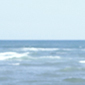 Tamar