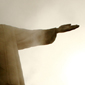 Corcovado